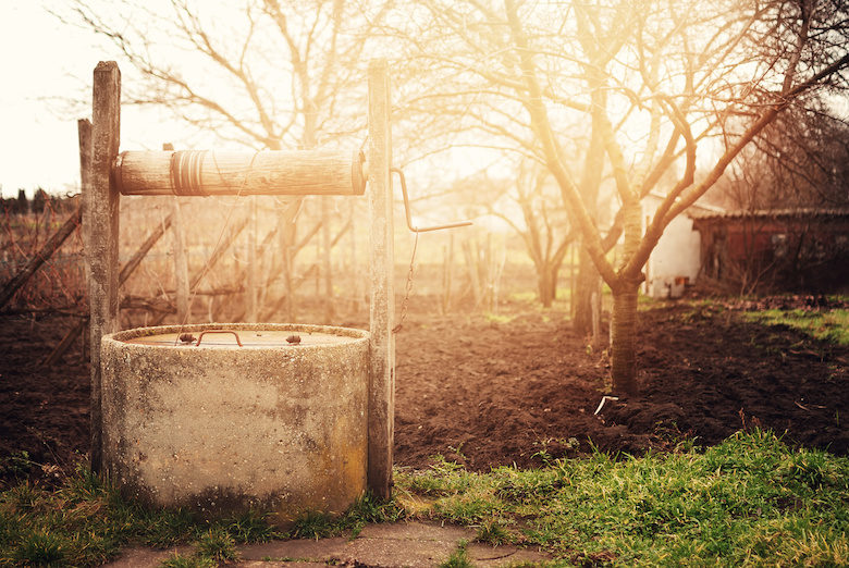 Woman pregnant by snake