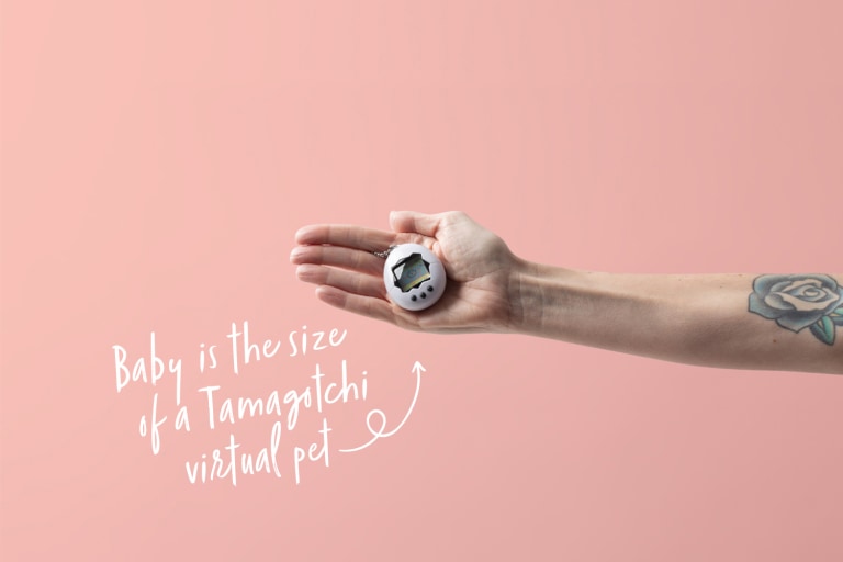 Best girl friends meet