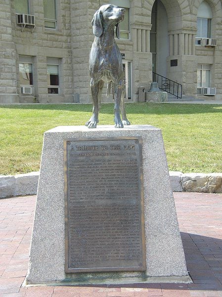 How to find your friend requests on xbox one