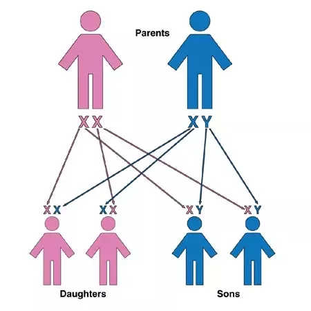 What to look for when looking for a girlfriend