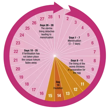 Fluent with friends youtube