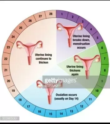 What to give to girlfriend on christmas