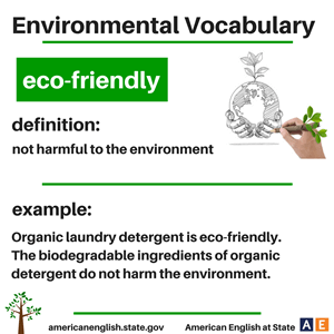 Baby girl wishes on birth