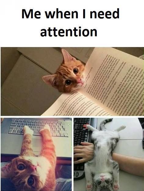 Where to take my girlfriend for her 21st birthday