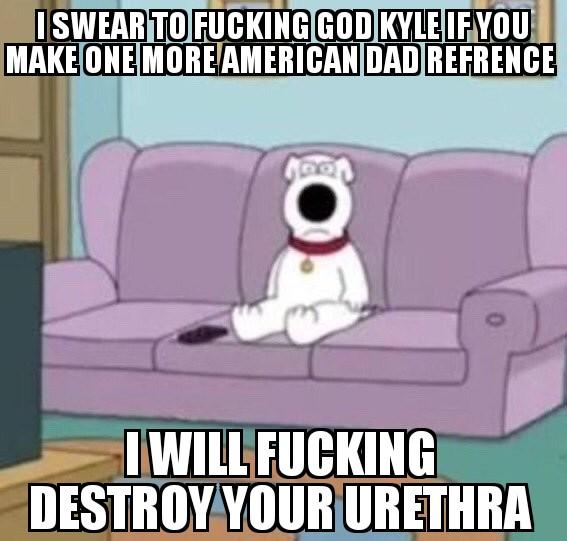 Womens jeans at new look