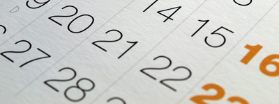 Which female celebrity do i look like